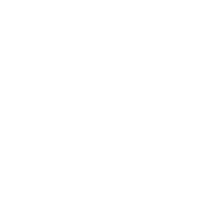 ДЛС концерн